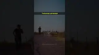 Ажоиб шер.