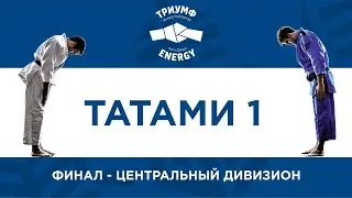 ТАТАМИ 1 / ЦЕНТРАЛЬНЫЙ ДИВИЗИОН / ФИНАЛ 23 / ЛИГА ДЗЮДО ТРИУМФ ENERGY