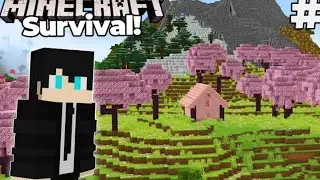 how I start Minecraft Survival series with bebu inspiration/ its very hard to survive #minecraft