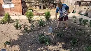 Спасение утят. Покупки. Гусям радость. Станичная жизнь.