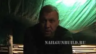 Лягушки-квакушки