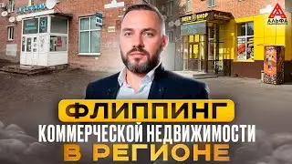Флиппинг коммерческой недвижимости в регионе.