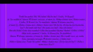 Lilo And Stitch Theme Song Lyrics