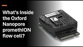 What's Inside Oxford Nanopore PromethION Flow Cell?