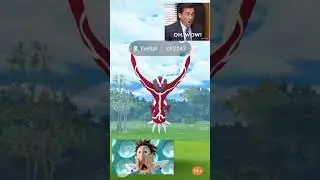 Shiny Yveltal Galleries: The Most Beautiful Pokemon Yet! Pokemon Go 