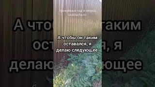 ☝️Как косить траву у забора, чтобы он остался чистый