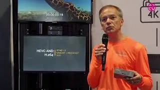 Videon Shavano 4K encoder/decoder: integrates with any workflow