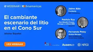 BNamericas - El cambiante escenario del litio en el Cono Sur