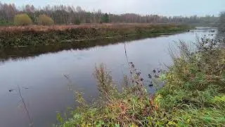 Река Уводь. ч.6. Октябрь 2024