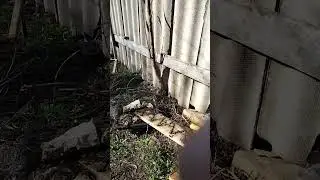Вода на пасиці