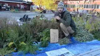 The Green Growing Globe Naturalistic Art Installation in November