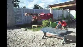 Treinando saltos no PICO DA CRECHE