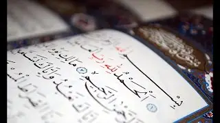 Al-Quran Al-Kareem Juz' 01 | Karim Mansouri (كريم منصوري)