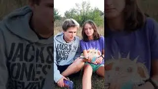 убил сестру за то, что не щнает иыангая, лайфхак как избавиться от сестры