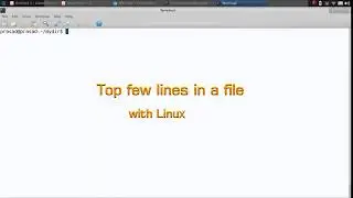 Boost your Linux cli with the head command in Linux