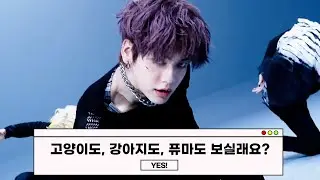 [Eng] 확신의 성장캐 투바투(TXT), 투모로우바이투게더 컨셉 MOA보자! [고인턴의 사심보고서]