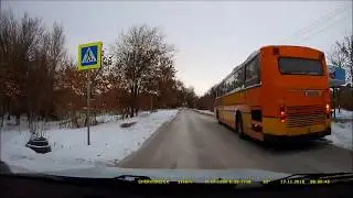 19*Животные-пешеходы,умные и дурные! / Law-abiding pedestrian