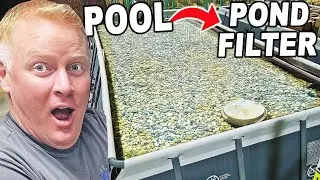 We Turned A Swimming Pool Into A Giant Pond Filter!