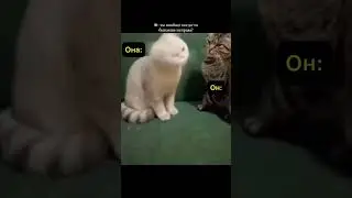 Звук вертолёта