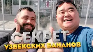 Secret! The Only Country in Central Asia Where Bananas Grow | Uzbek Greenhouses | Bukhara