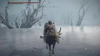 Lost Old Man VS Borealis