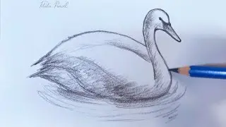 How to draw a Swan step by step easy | Pencil Drawing