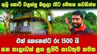 ඝන වනාන්තරයක් ළග සුපිරි නවාතැන කමත | එක්කෙනෙක්ට රු 1500ක් යන්නේ  lak tv