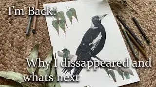 I'm Back!!! What happened??? And drawing my Magpie friend
