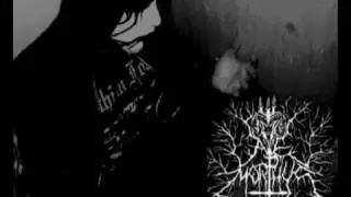 Ave Morphys - Triste Desilucion