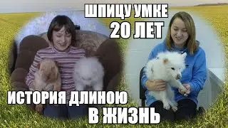 20 лет счастья