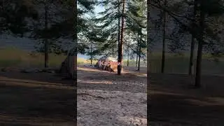 Скоро новый выпуск 🙏🏻подписывайтесь на канал #карелия #ладожскоеозеро