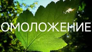 Омоложение. Реальная возможность. Информация с тонкого плана #ченнелинг #регрессивныйгипноз