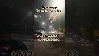 Краснодар Ташкент Автобус #автобус #тошкент #ростов #анапа #новороссийск #крим #геленджик #тошкент