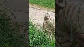 база отдыха