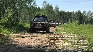 Fields in the taiga. The call of the taiga. 4x4. Off-road. Omsk.