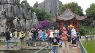 Defeat Diabetes® News - Travel Tips 1.2