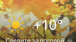 1080x1080 Bro leaf fall sunny +10 1020 4