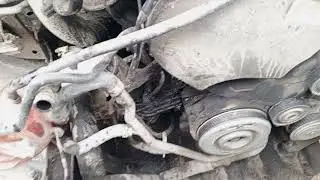 17 февраля 2024 г.