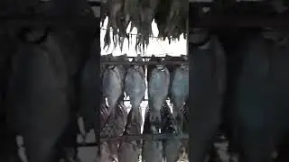 С праздником победы! 2019 год