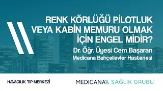 Renk Körlüğü Pilotluk Veya Kabin Memuru Olmak İçin Engel Midir? - Dr. Öğr. Üyesi Cem Başaran