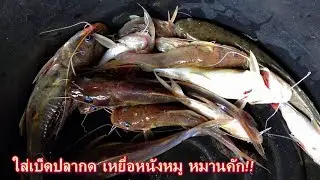 ยามเบ็ดโฟม เหยื่อหนังหมู by paw