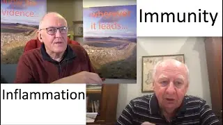 Understanding immunity and inflammation, part 1