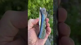 Oleksii Nesterenko FULL DRESS PILGRIM Front Flipper