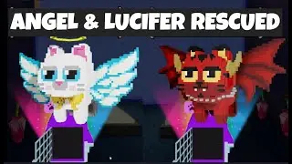 ANGEL & LUCIFER RESCUED:PLAY CATS FRIEND RESCUE