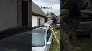 Нужно окна помыть в квартире