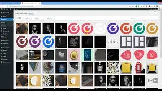 Two Logos in Neresa WordPress Theme