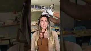 Lice Love Lice Checks