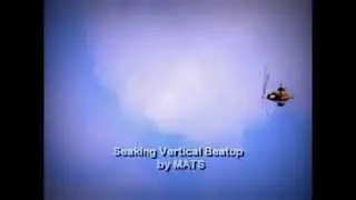 Seaking Helicopter Vertical Aerobatic Beatup