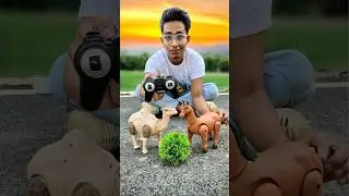 Remote Control Camel🐪 & Horse Unboxing🐴🔥