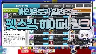 해방나로가 알려주는 모험가 리마스터 이후 나로 펫 버프 자동스킬, 하이퍼, 링크(보스, 사냥, 무릉) [메이플스토리 틀로]